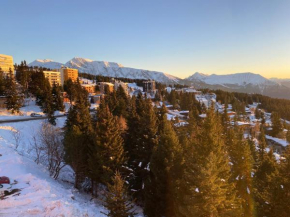 Les Balcons d'Edelweiss